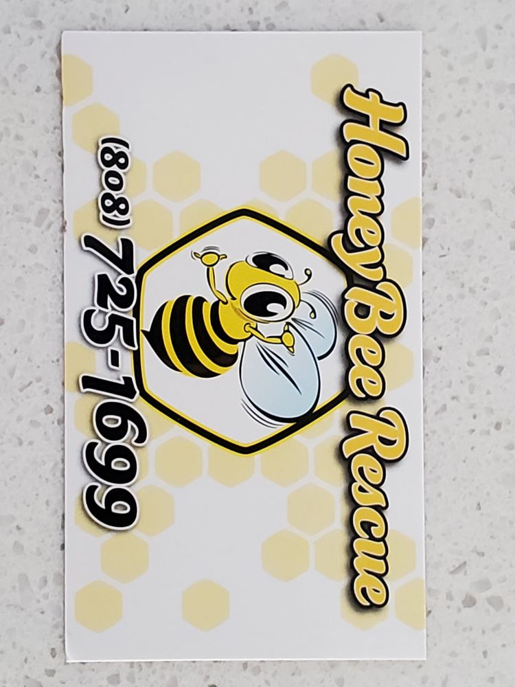Honey Bee Rescue Logo