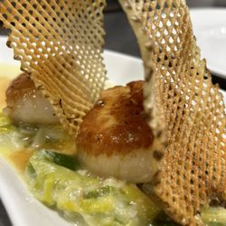 Seared scallops with braised leeks