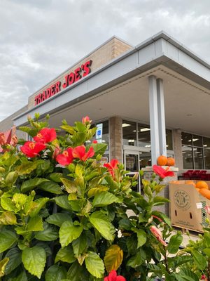 Trader Joe's by null