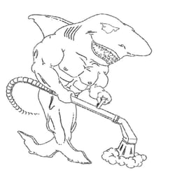 Great White Carpet Cleaning