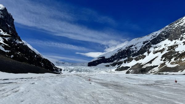 Jasper National Park Icefield Information Centre and Glacier Gallery by null