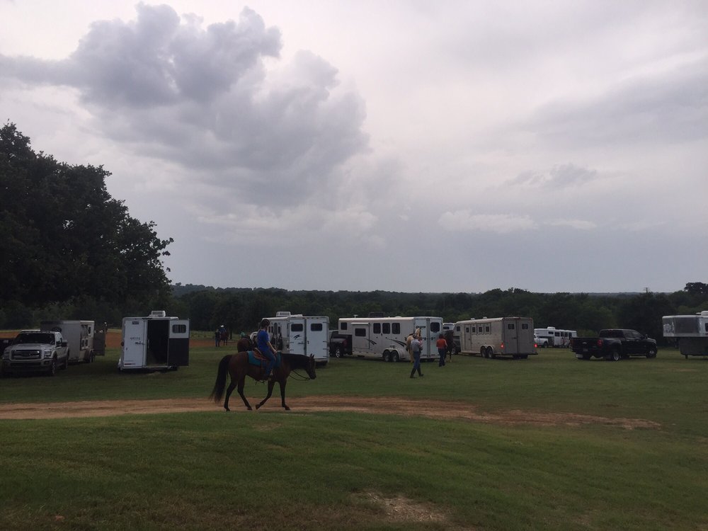 JOHNSON PERFORMANCE HORSES Updated September 2024 638 Valley Ranch