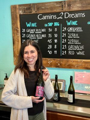 Camins 2 Dreams by null