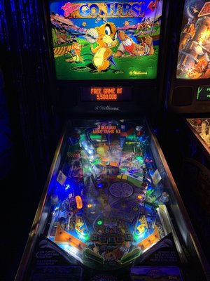 Dumb Records by null