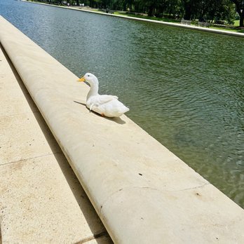 Hermann Park - Parks Near Me - Houston, Texas