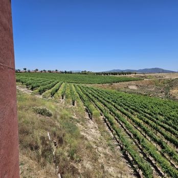 Falkner Winery - Faulkner Vinyard - Wineries Near Me - Temecula, California Falkner Winery - Faulkner Vinyard - Wineries Near Me - Temecula, California