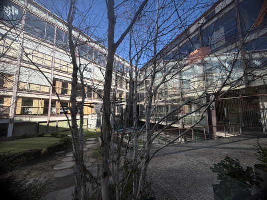 Bosco de Lobos Madrid by null