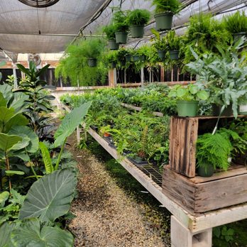 Plant Barn & Gift Shop The - Florists Near Me - Chico, California Plant Barn & Gift Shop The - Florists Near Me - Chico, California