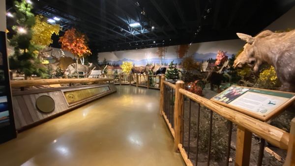 Bass Pro Shops (Formerly Cabela's) by null