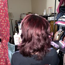 Lele Hair And Art Studio - Plum and black tips color