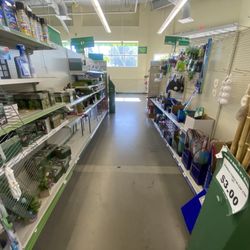 Dollar Tree