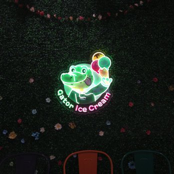Gator Ice Cream - Ice Cream & Frozen Yogurt Near Me - Jacksonville, Florida Gator Ice Cream - Ice Cream & Frozen Yogurt Near Me - Jacksonville, Florida