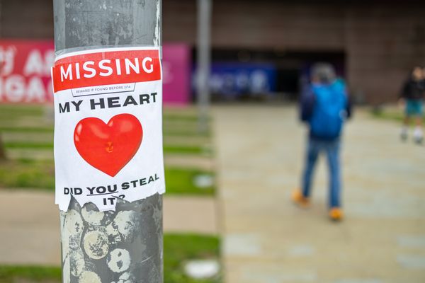 Golden Gate Park by null