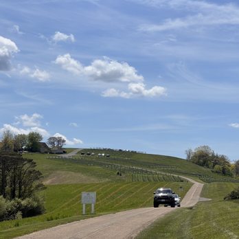 12 Ridges Vineyard - Long, beautiful drive to the winery - Wine Tasting Room Near Me - Vesuvius, Virginia 12 Ridges Vineyard - Long, beautiful drive to the winery - Wine Tasting Room Near Me - Vesuvius, Virginia