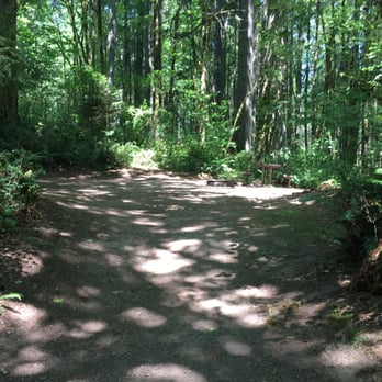 Seaquest State Park - Our site! - Hiking Near Me - Castle Rock, Washington