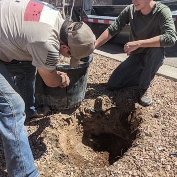 R&R Deliveries - Tree Services Near Me R&R Deliveries - Tree Services Near Me
