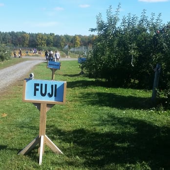Bowman Orchards - Kids Activities Near Me - Rexford, New York