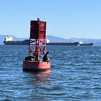 1. Arrow Tugboat & Tour