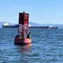 Photo of Arrow Tugboat & Tour