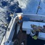 Photo of Live Bait Sport Fishing