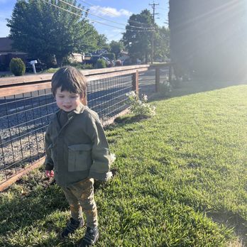 Prodigy Works Tree Service - Landscaping Near Me Prodigy Works Tree Service - Landscaping Near Me