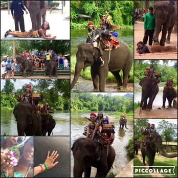 Affordable World - Elephant trekking- Thailand - Tours Near Me - Los Angeles, California Affordable World - Elephant trekking- Thailand - Tours Near Me - Los Angeles, California