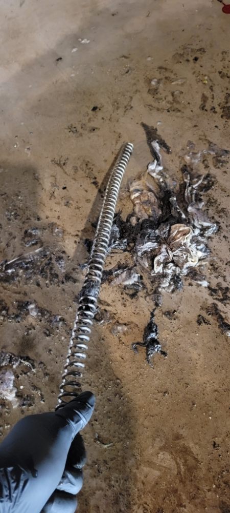 Slide of ED's Drain Cleaning