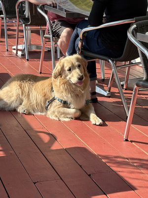 Fiamma Pizza by null