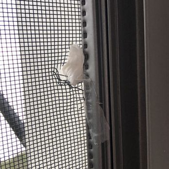 The Farmhouse Inn - Screen patched with toilet paper?! And scotch tape?! - Bed & Breakfast Near Me - Blue Hill, Maine The Farmhouse Inn - Screen patched with toilet paper?! And scotch tape?! - Bed & Breakfast Near Me - Blue Hill, Maine