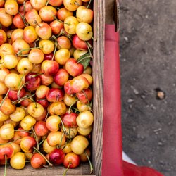 U Pick Orchards - 🍒U-Pick Orchards🍒