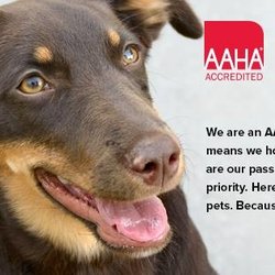 Germantown Hills Animal Hospital