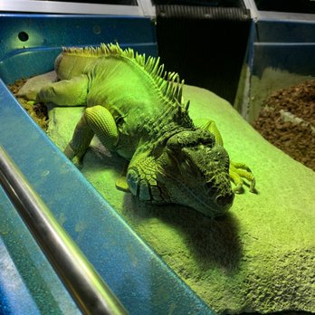 Austin Aquarium - Aquariums Near Me - Austin, Texas