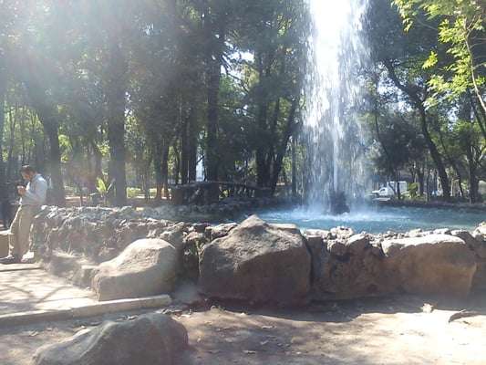 Parque México by null