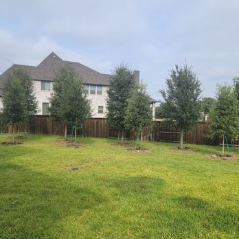 Sprinkler Villanueva - Finished job looks great! The yard didn't get ruined. The sprinklers were installed at every tree. - Irrigation Near Me Sprinkler Villanueva - Finished job looks great! The yard didn't get ruined. The sprinklers were installed at every tree. - Irrigation Near Me