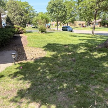 Luna's Outdoor Solutions - Gardeners Near Me - Minneapolis, Minnesota