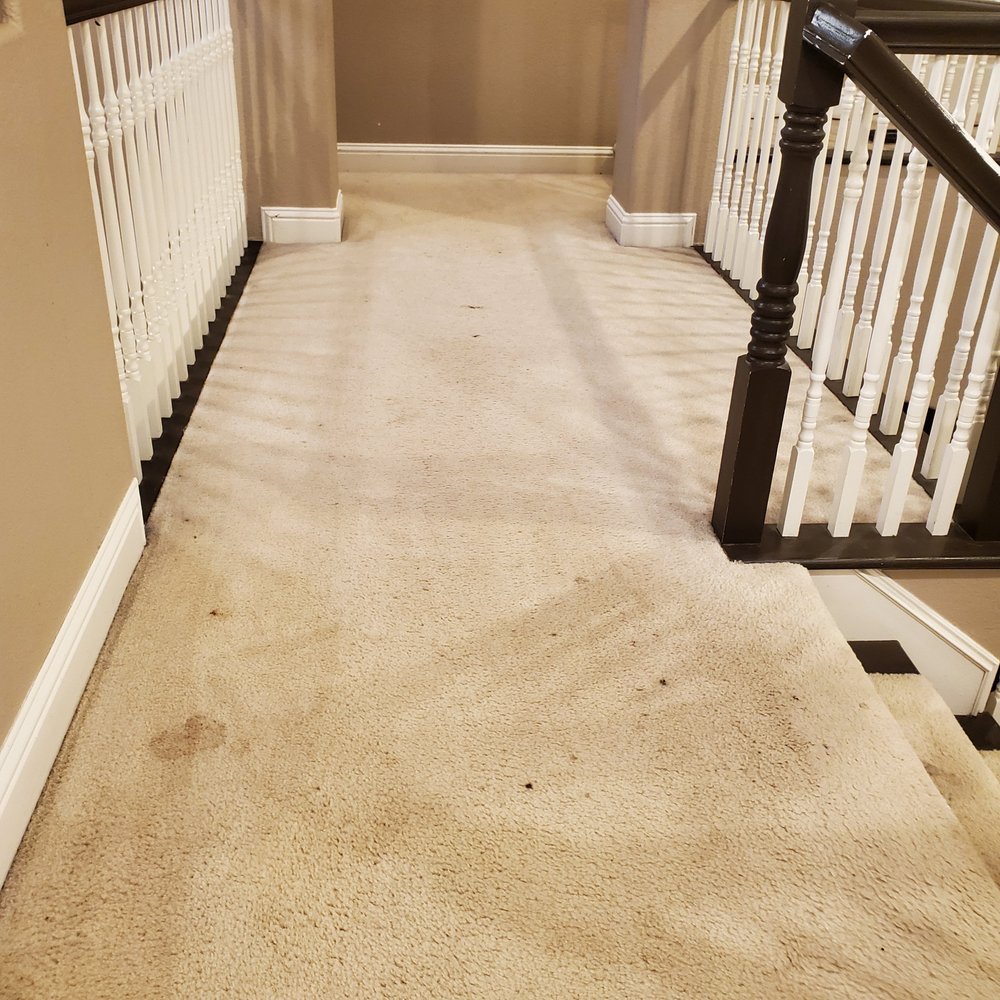 SUNSATIONAL CARPET CARE Updated June 2024 31 Photos & 10 Reviews