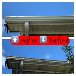 Fresh Looks Pressure Washing - Gutter scrubbing and pressure washing to brighten old mold covered paint. Frankfort Ky