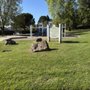 Deerview Park