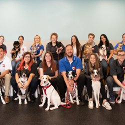 Dog Gone Problems - Our team of Dog Behaviorists, Dog Trainer and Puppy class instrcutors can help with any dog problem.