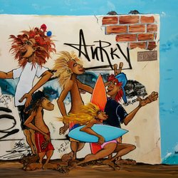 Aloha Images - Steven Valiere