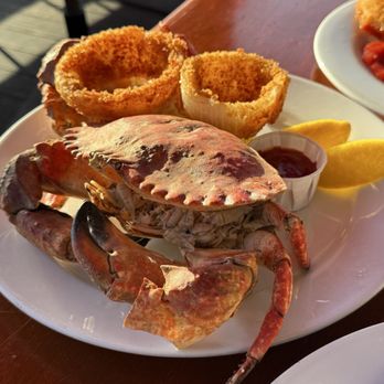Santa Barbara Shellfish Company - Rock Crab Special--delish! - Seafood Near Me - Santa Barbara, California Santa Barbara Shellfish Company - Rock Crab Special--delish! - Seafood Near Me - Santa Barbara, California