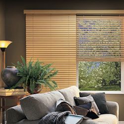 Best Mountain Blinds