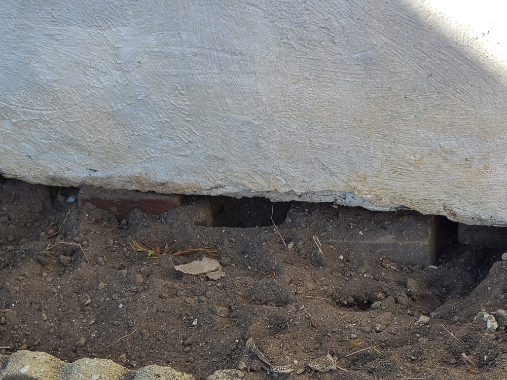 NY/NJ WILDLIFE REMOVAL - 18 Reviews - Staten Island, New York - Pest