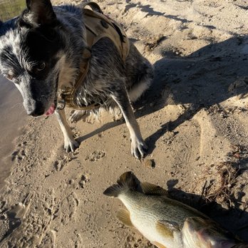 Silverwood Lake State Recreation Area - Fat little girl and a bass - Parks Near Me - Hesperia, California