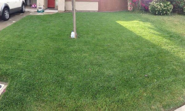 Lawn Care Service - At Tees Lawn Care, we take pride in making your lawn look its absolute best. We understand that curb appeal matters, and a well-kept yard can make all the difference. From routine maintenance to detailed care, we handle everything so you don’t have to. Let us take the stress out of lawn care—your yard is in expert hands with Tees Lawn Care! Lawn Care Service - At Tees Lawn Care, we take pride in making your lawn look its absolute best. We understand that curb appeal matters, and a well-kept yard can make all the difference. From routine maintenance to detailed care, we handle everything so you don’t have to. Let us take the stress out of lawn care—your yard is in expert hands with Tees Lawn Care!