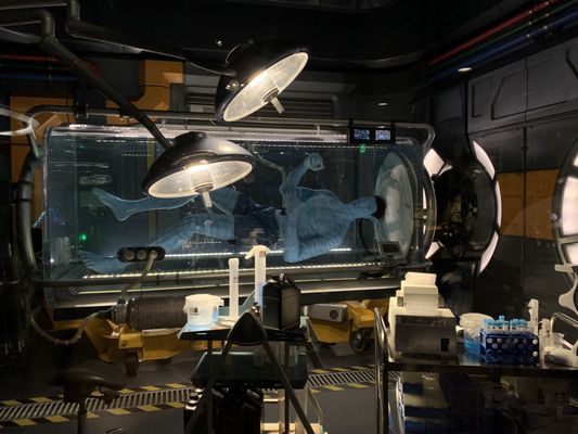 Avatar Flight of Passage by null