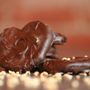 Sweet Shoppe Candy Store