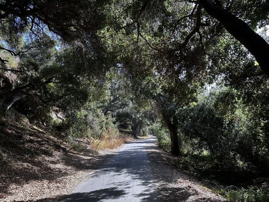 Bob Jones Trail Head by null