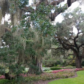 Brookgreen Gardens - Museums Near Me - Murrells Inlet, South Carolina