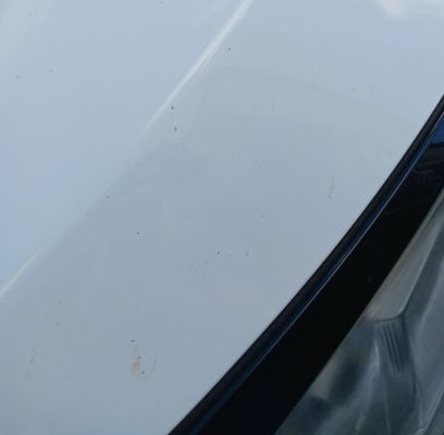 Octopus Car Wash by null